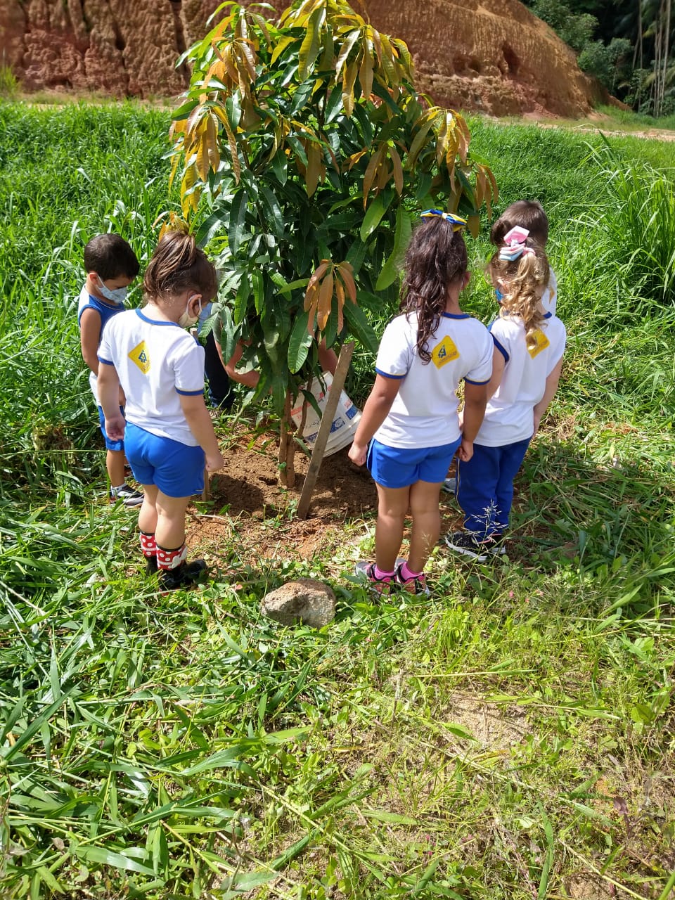 Feira das Ciências 2019