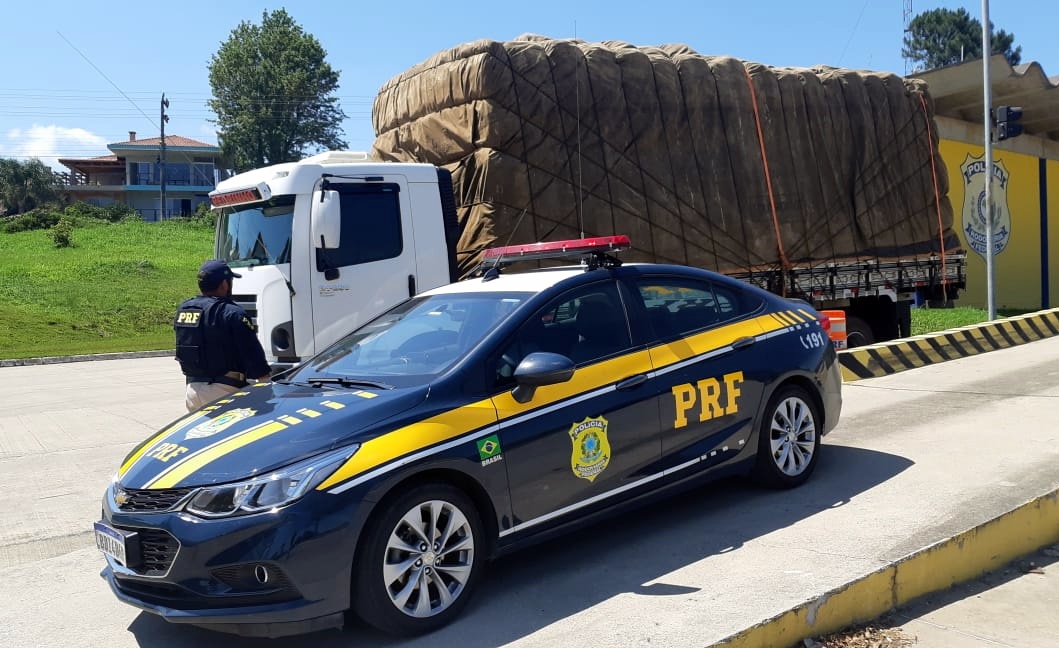 PRF apreende carvão de lenha nativa sem licença ambiental na BR 280 em Mafra