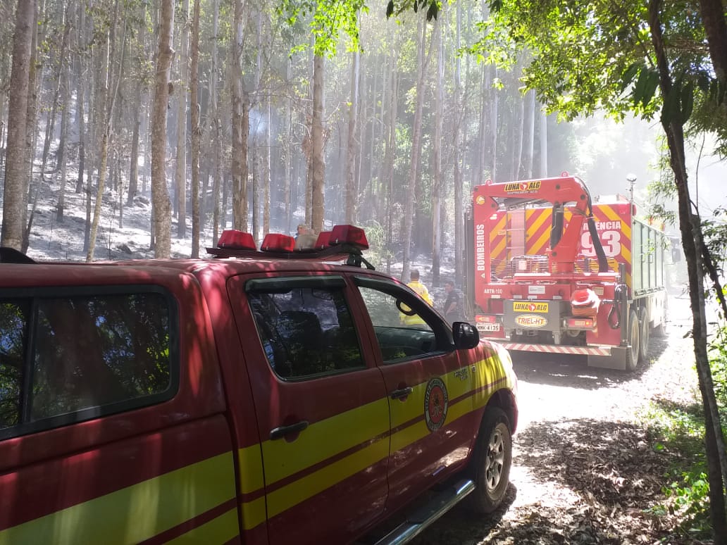 Incêndios na região de Mafra, Papanduva, Matos Costa e São Bento do Sul acontecem nos últimos dias