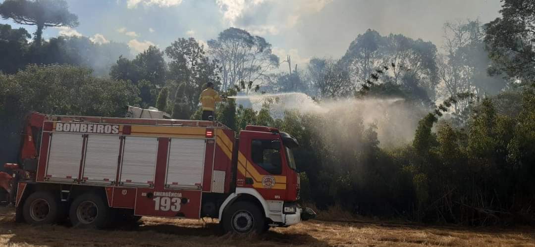 Incêndio em lavoura de soja e mata nativa