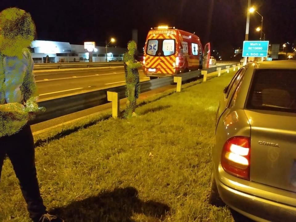 Carro bate em égua na BR116