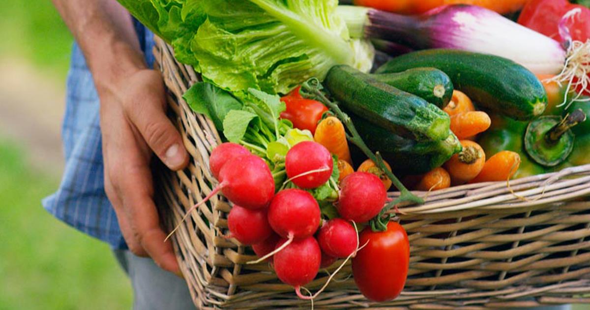 Feira da agricultura familiar tem horário diferenciado neste final de ano