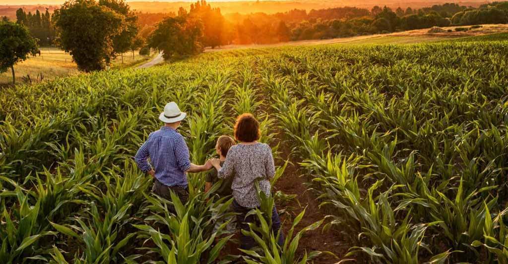 Mafra seleciona produtores da agricultura familiar para o Programa PAA