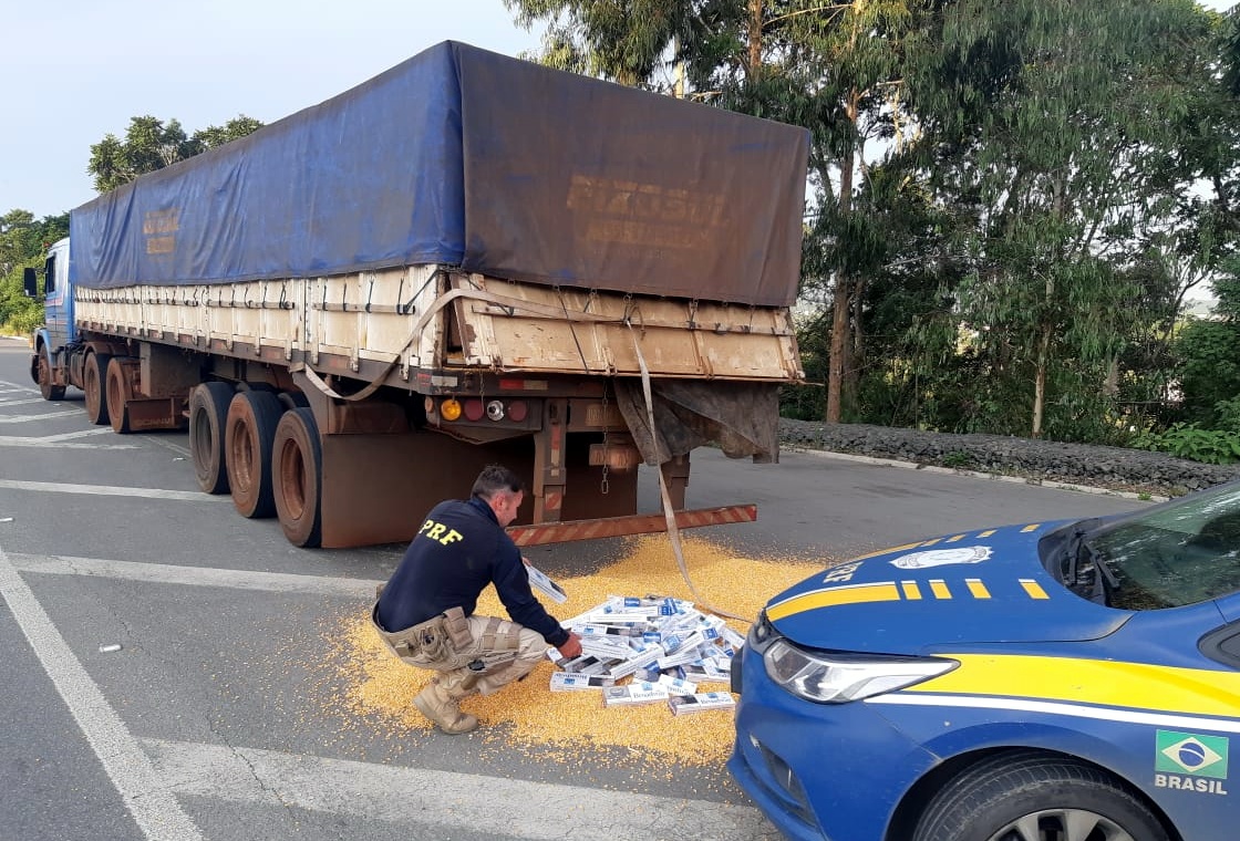 PRF apreende 400 mil maços de cigarros escondidos em carga de milho na BR 280 em Rio Negrinho