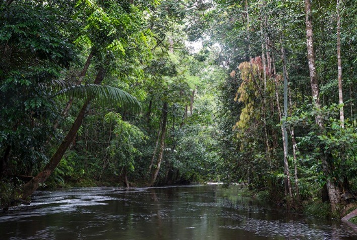 Estudo constata impactos em bacias hidrográficas em consequência de mudança de cobertura florestal original