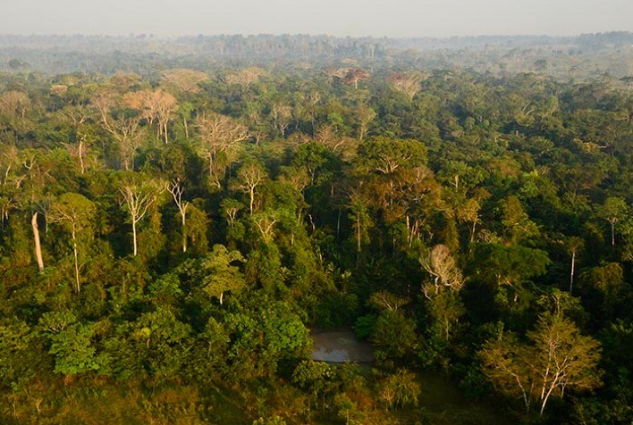 Oceano subterrâneo encontrado na Amazônia tem capacidade para abastecer a Terra por 250 anos