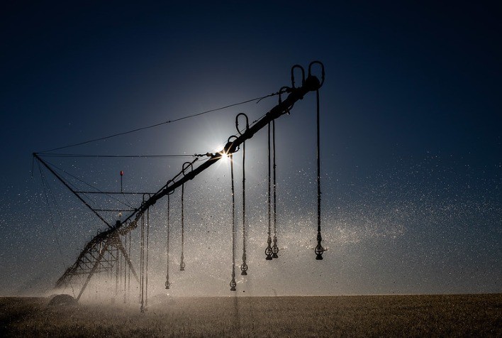 Estação de tratamento de esgoto garante água limpa para irrigação de hortaliças