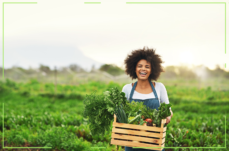 É OFICIAL: 2021 É O ANO INTERNACIONAL DAS FRUTAS E VEGETAIS