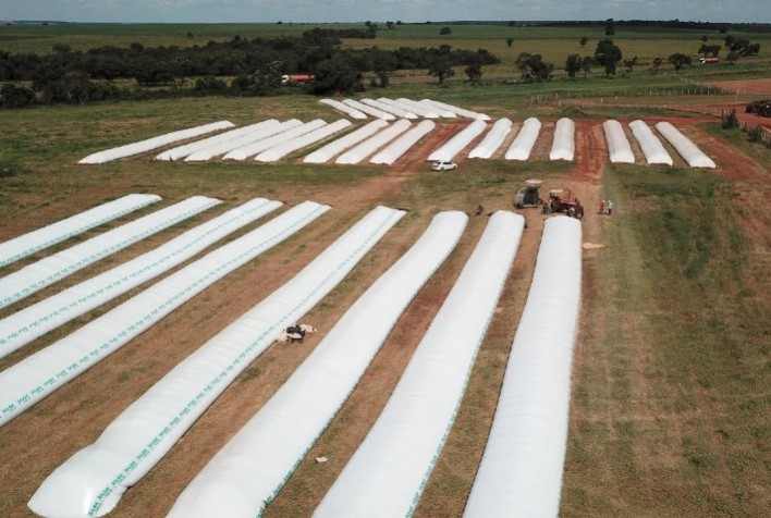 Região Centro-Oeste alavanca vendas de silos-bolsas no Brasil