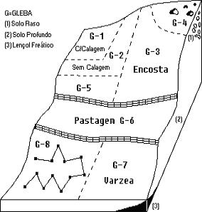 Esquema da coleta de amostras