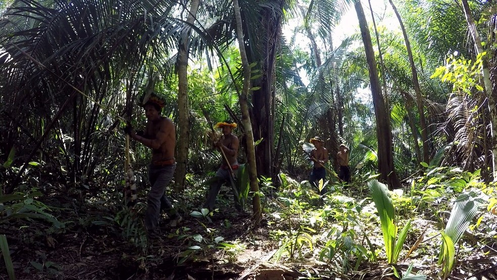 Suruí e Cinta Larga são as etnias indígenas mais atingidas pela Covid-19 em Rondônia