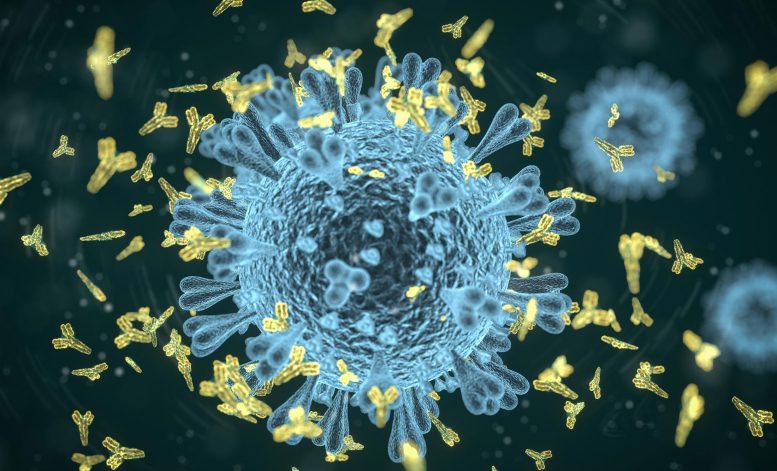 Por que são necessárias duas doses para fazer as vacinas de mRNA terem o melhor desempenho na criação de anticorpos COVID-19?