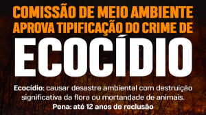 Publicidade