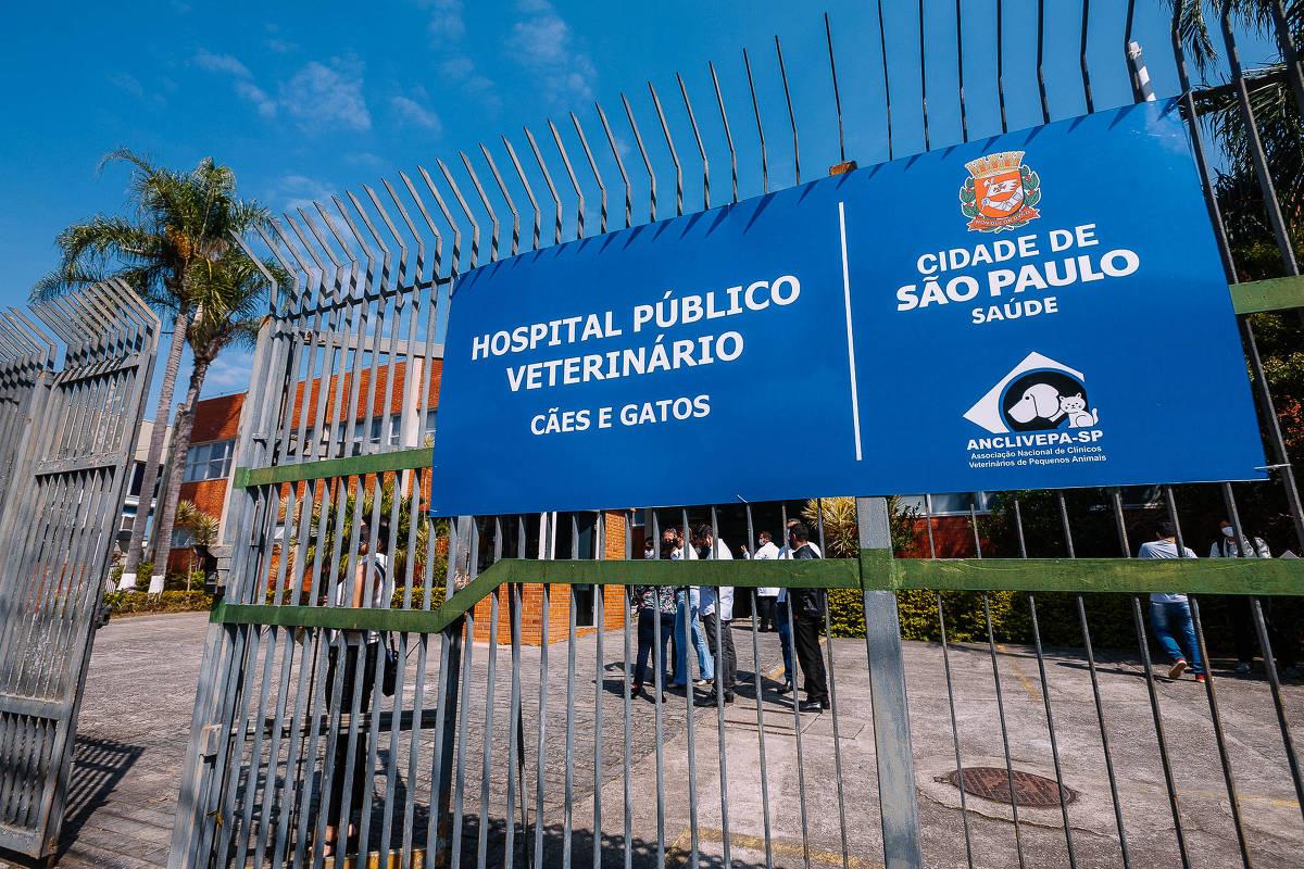 Hospitais veterinários atenderão urgências e emergências na fase vermelha