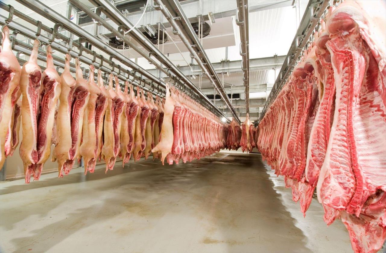 Exportações de carne suína crescem 35% em Santa Catarina